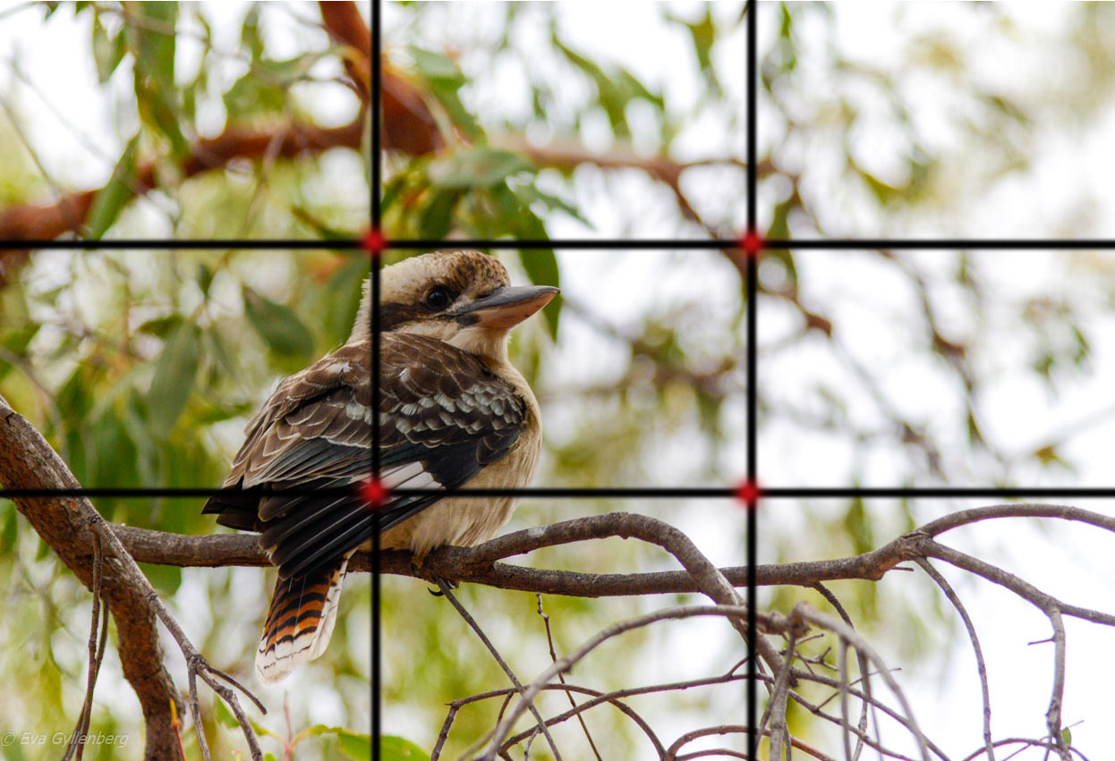 photography - the rule of thirds