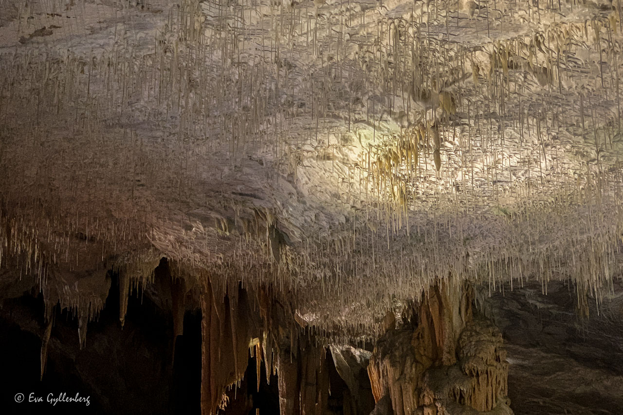 Caves in Slovenia