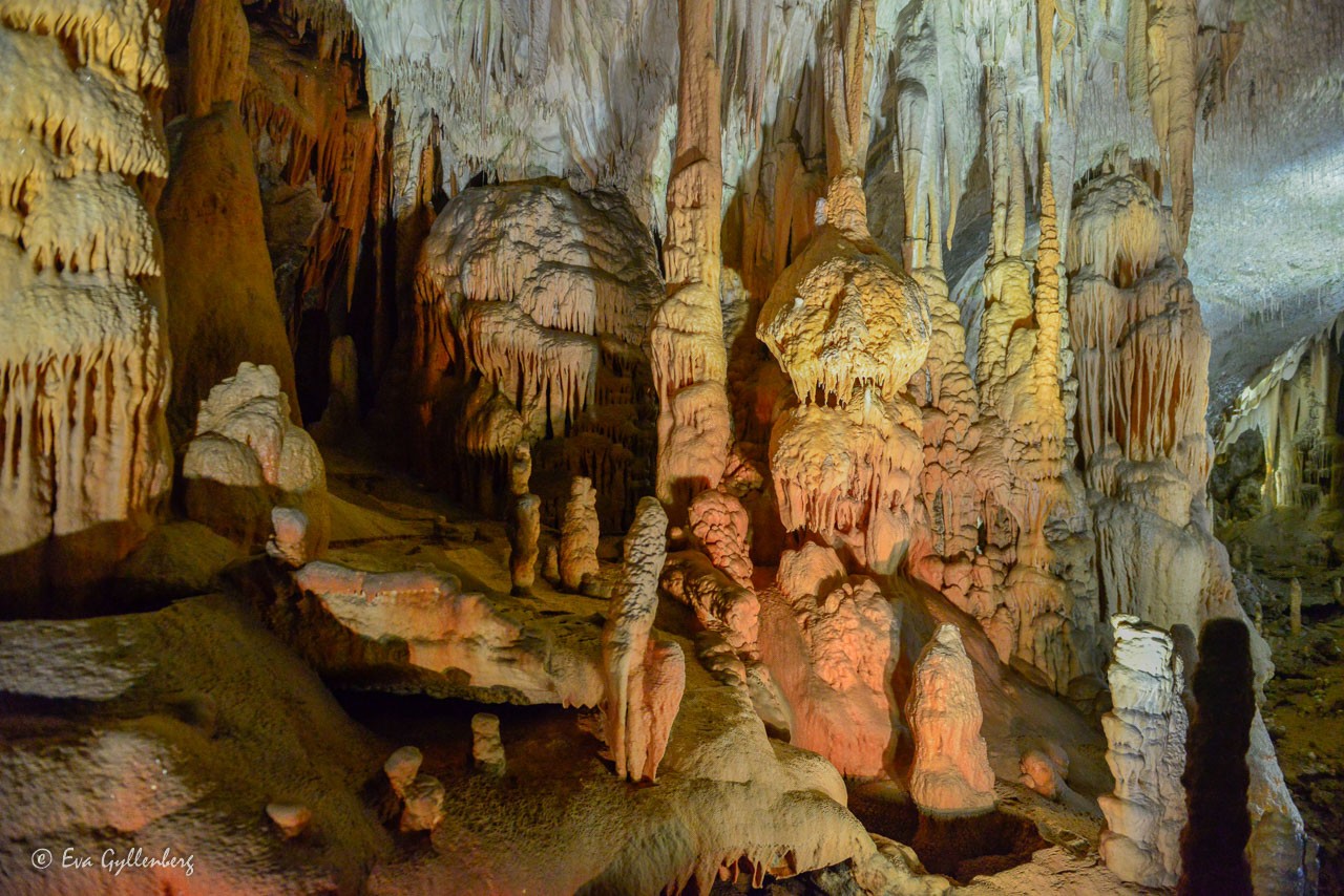 The postonja cave The postonja cave