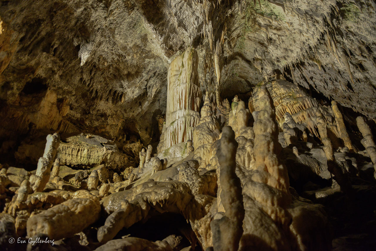 Postojna cave