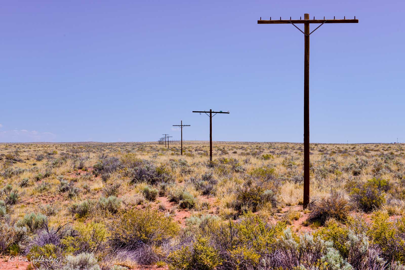 Telefonstolpar i Petrified Forest