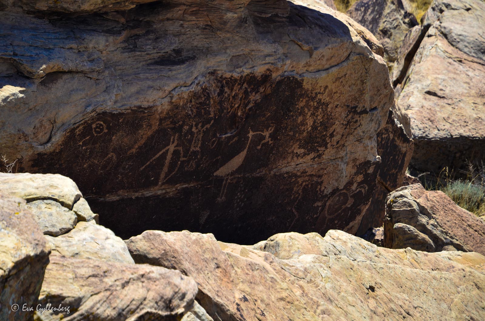 Carvings in the Petrified Forest