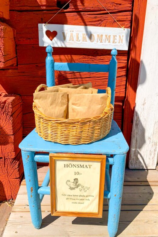 Selling chicken feed on a blue chair
