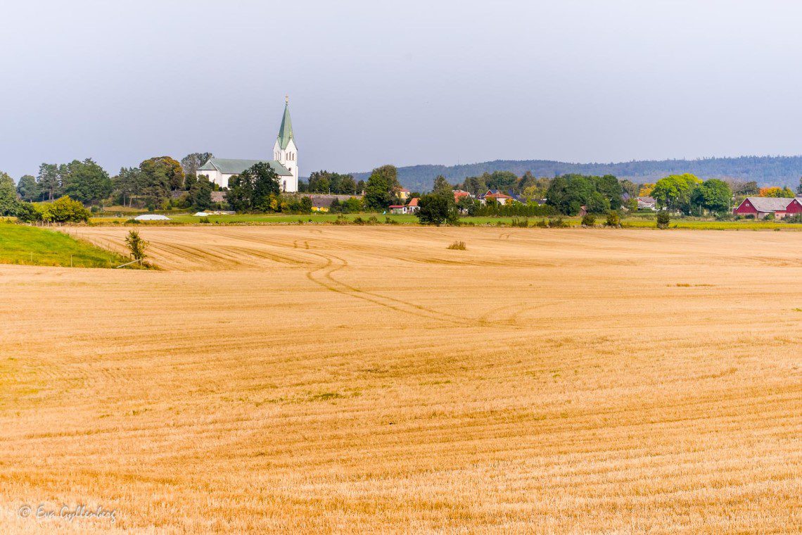 Landskap vid Ivösjön