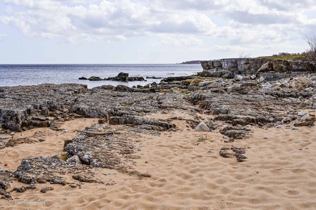 Sandstrand på Österlen