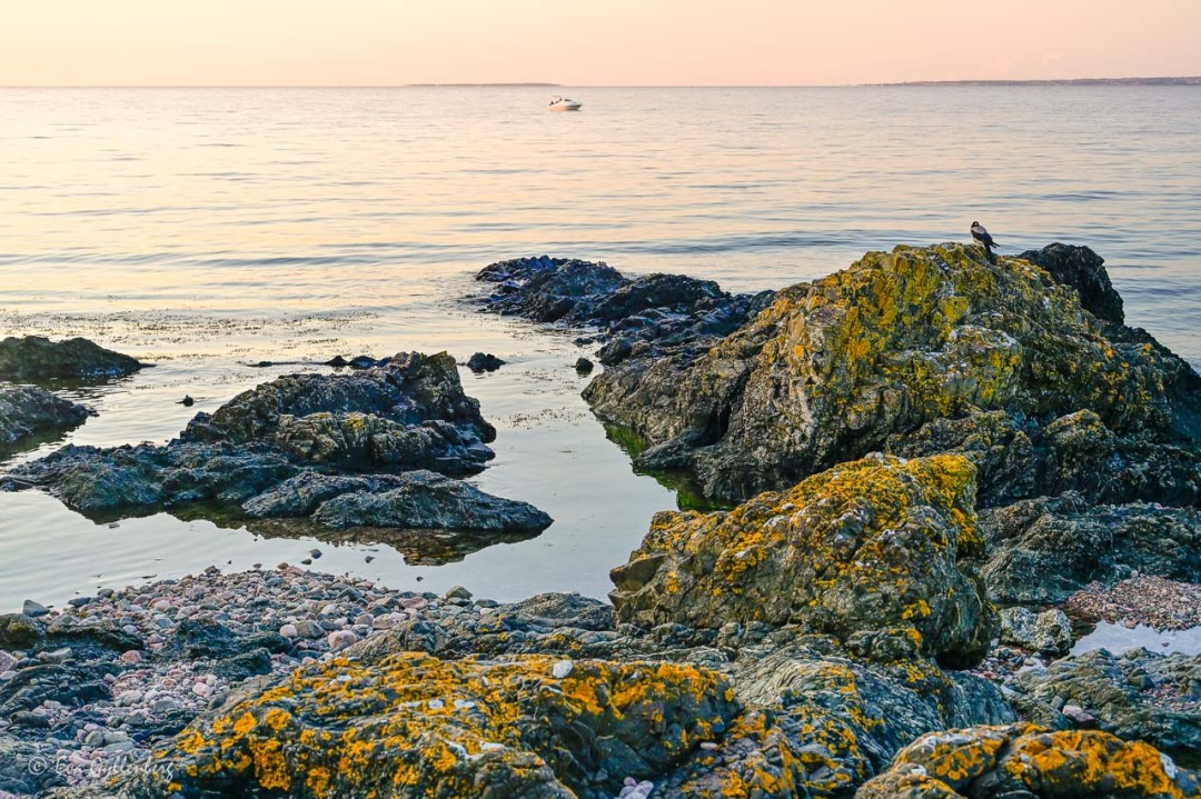 Lavbeklädda havsklippor med havet och en liten båt