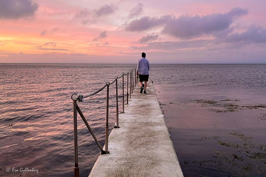 Man med hund på stenbrygga i solnedgång med rosa himmel