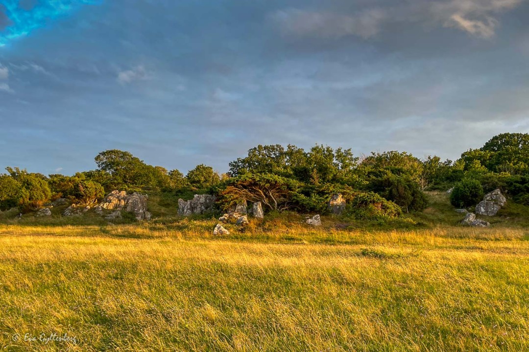 Stenformationer vid Nabbens naturreservat