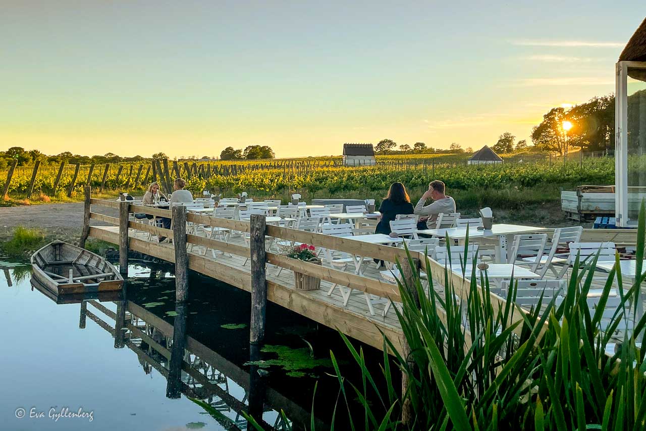 Arild's vineyard with the outdoor terrace overlooking the vineyards