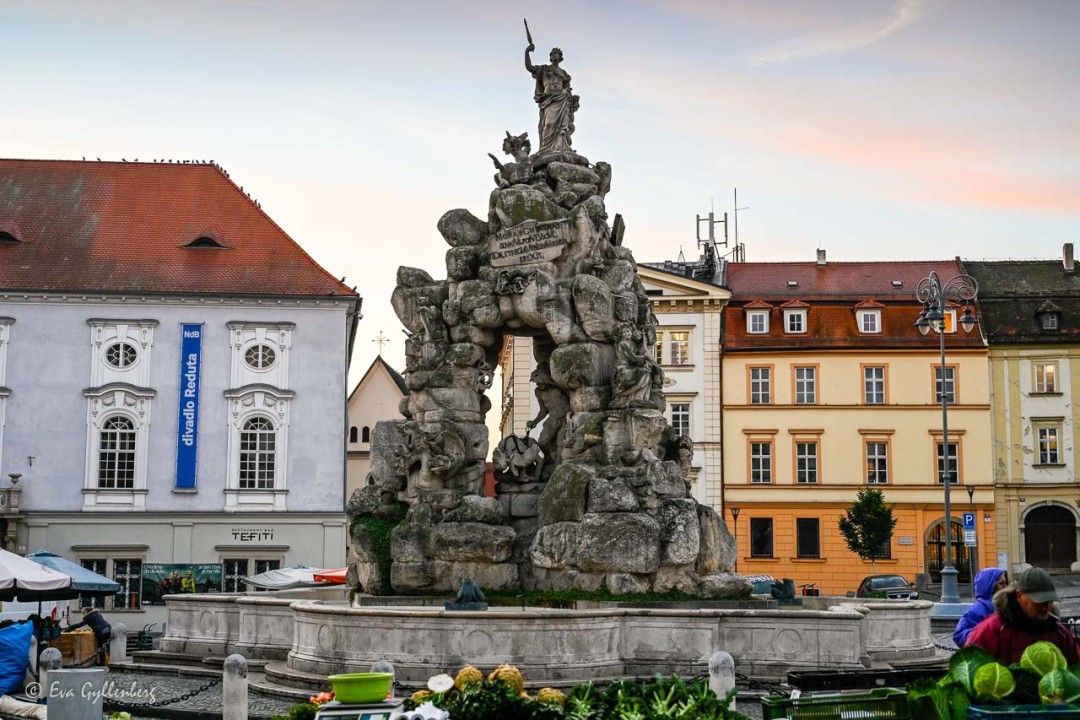 Kålmarknaden i Brno