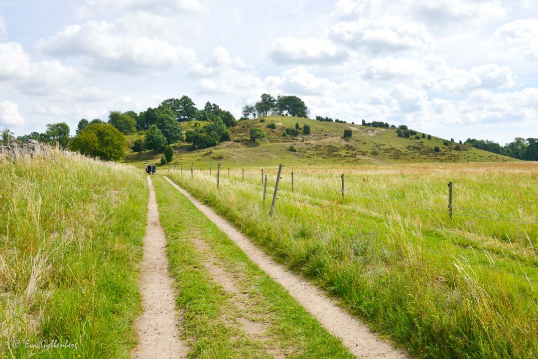 Brösarps backar i Skåne