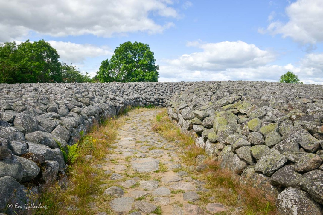 Kungagraven i Kivik