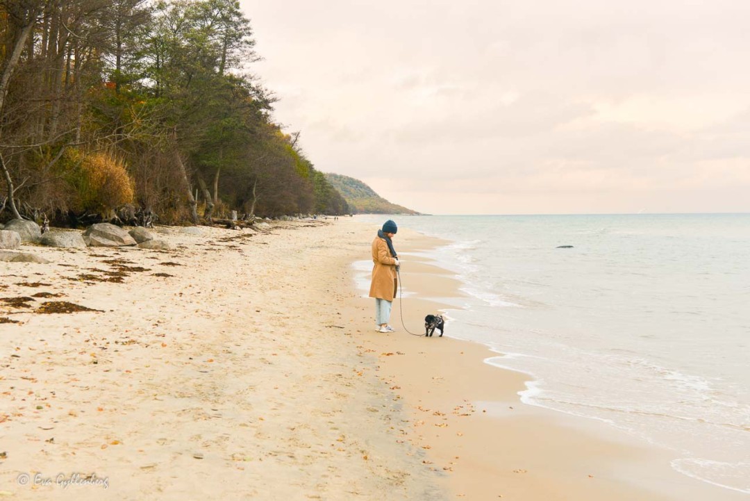 Knäbäckshusens strand