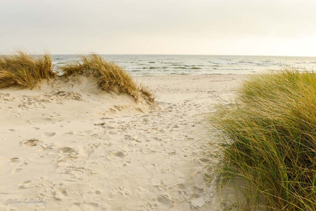 Sandhammaren strand