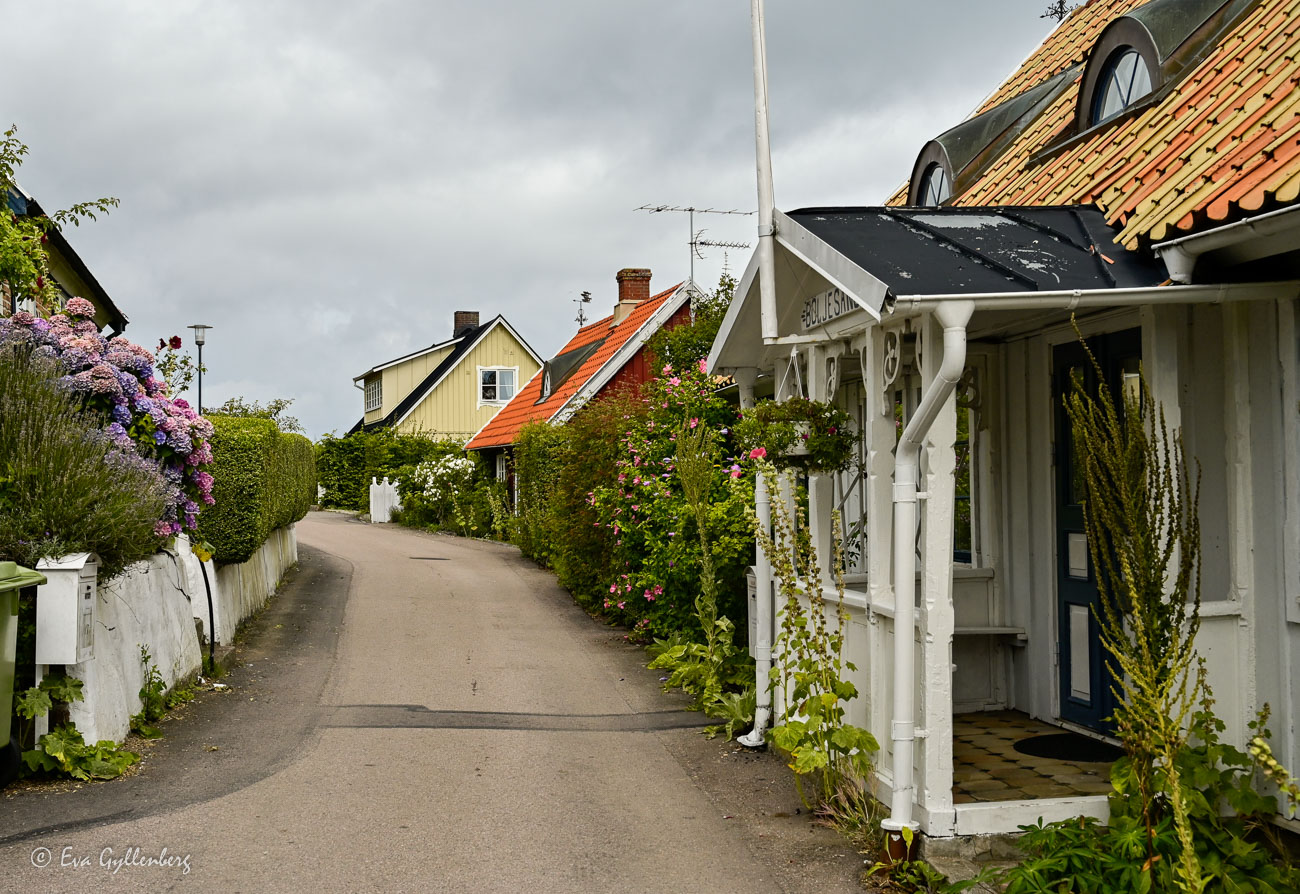 Street in Arild with flowers in abundance