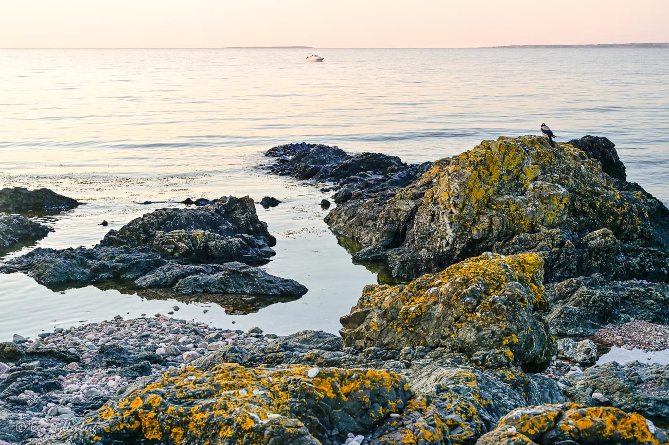 Cliffs at sunset