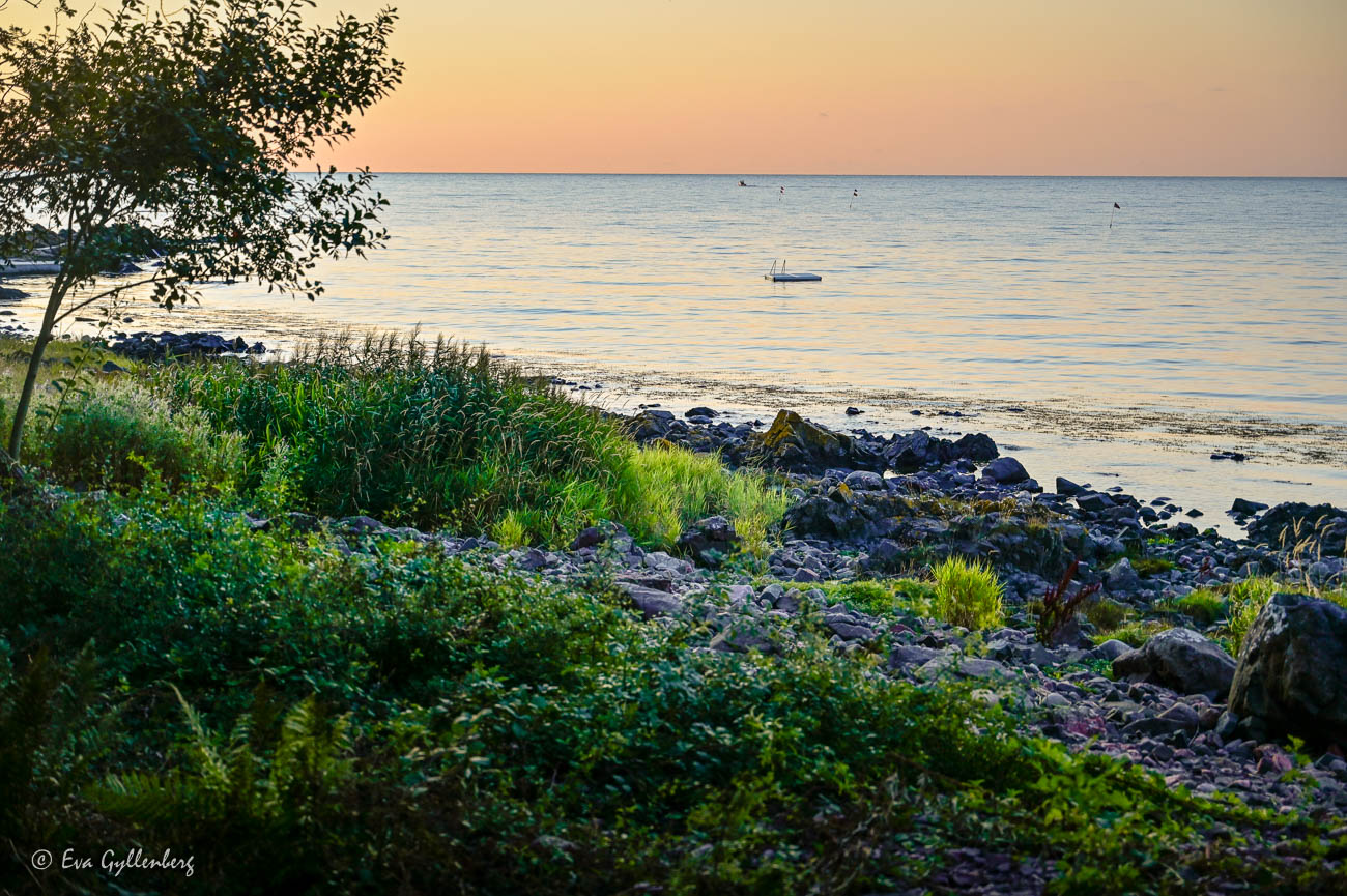 Bathing jetty at sunset in Skälderviken