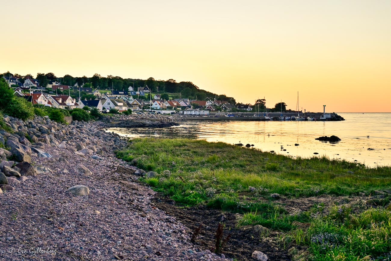 Arild in sunset