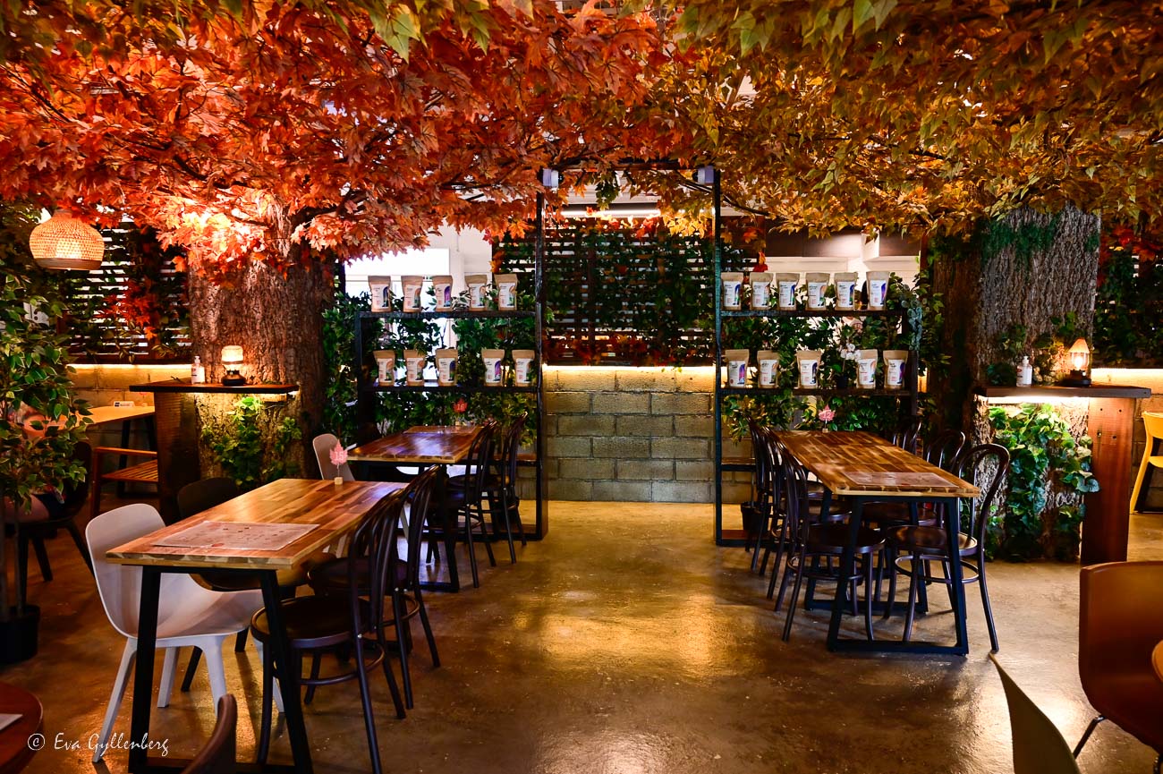 Cafe Kreams with the roof full of autumn leaves
