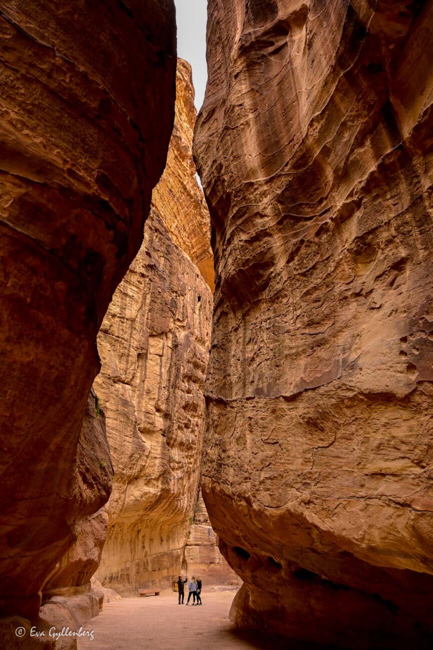 Ravinen The Siq med människor i Petra