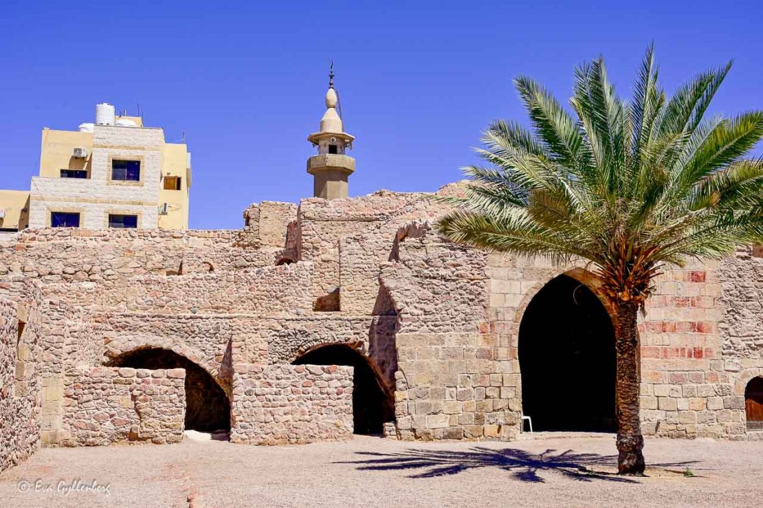 historiskt fort med palm i mellanöstern