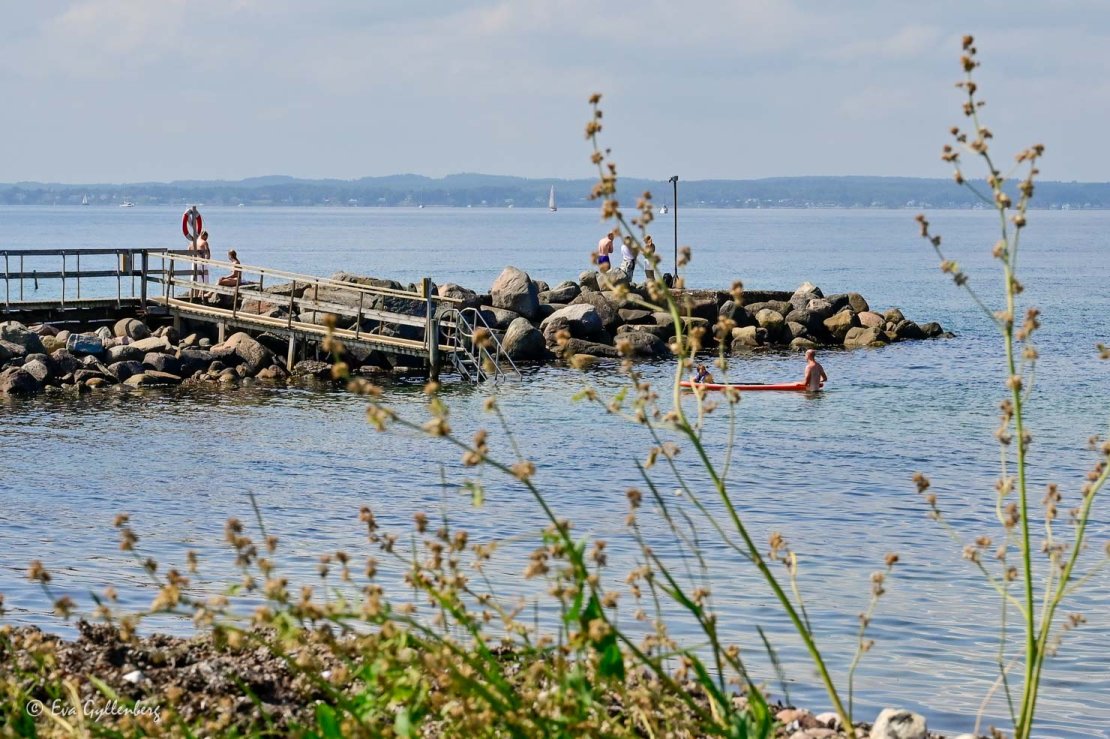 Badande människor vid stenpir i havet