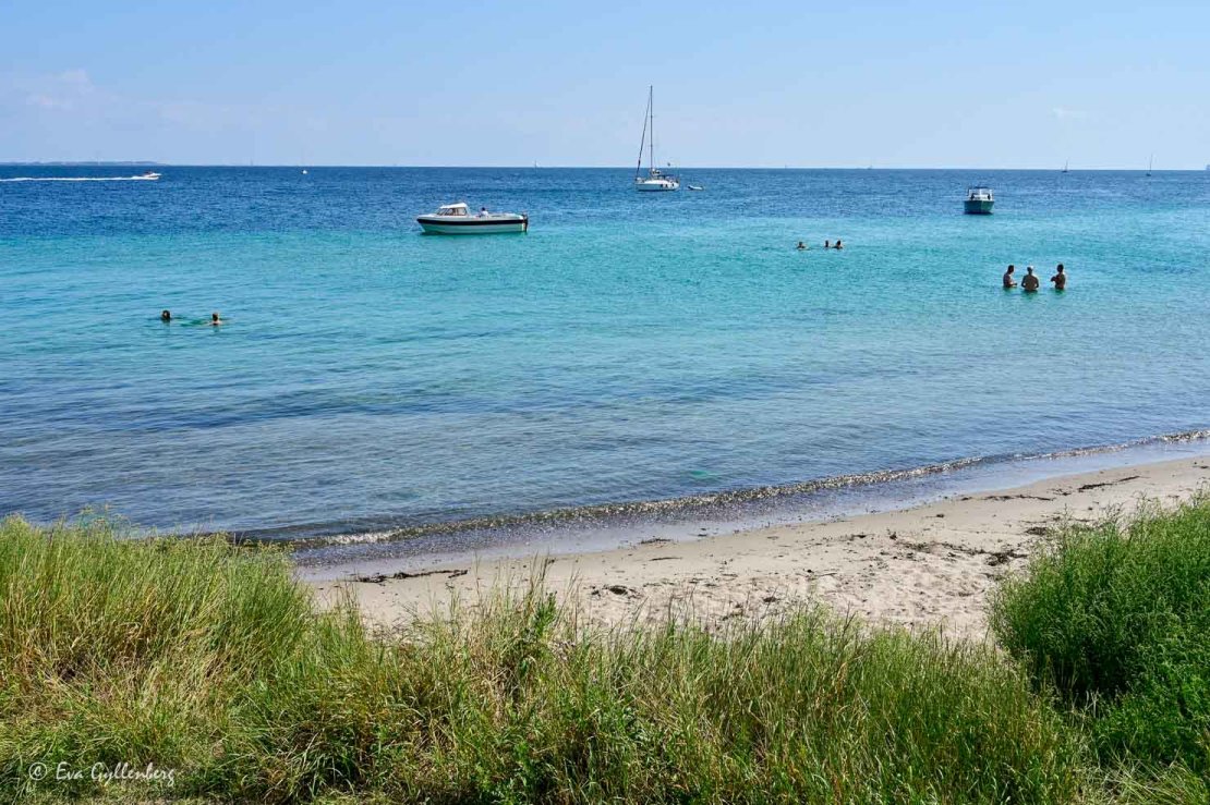 Strand och badande människor i klart hav