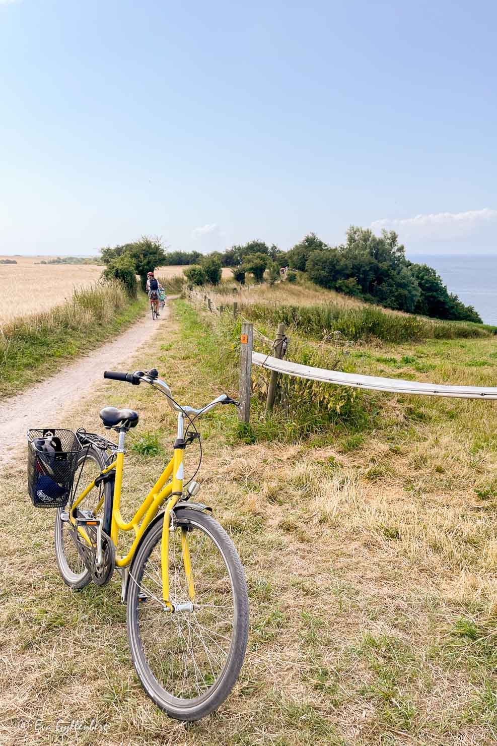 Cykla på Ven med en gul cykel