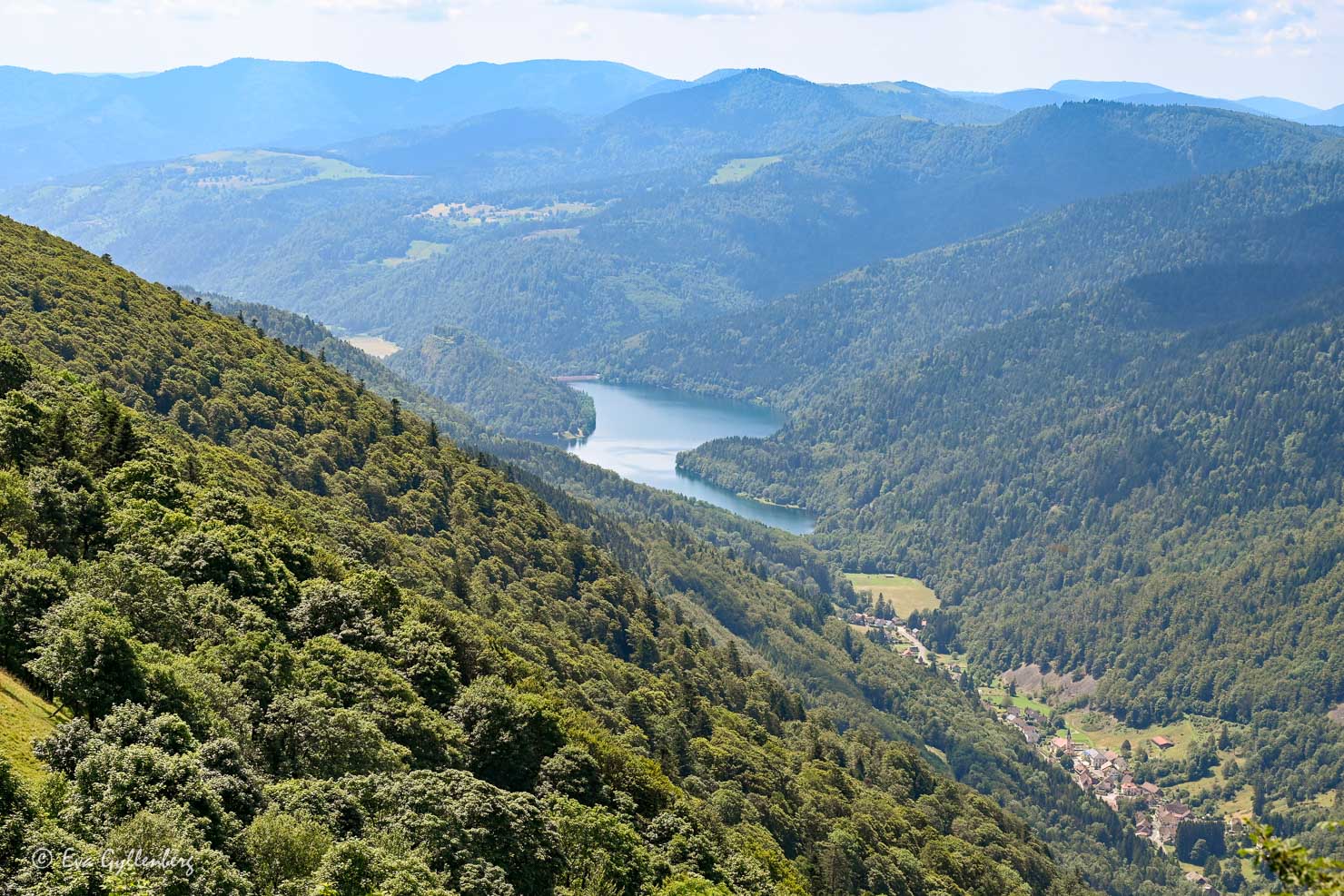 Mountain lake in the Vosges in France