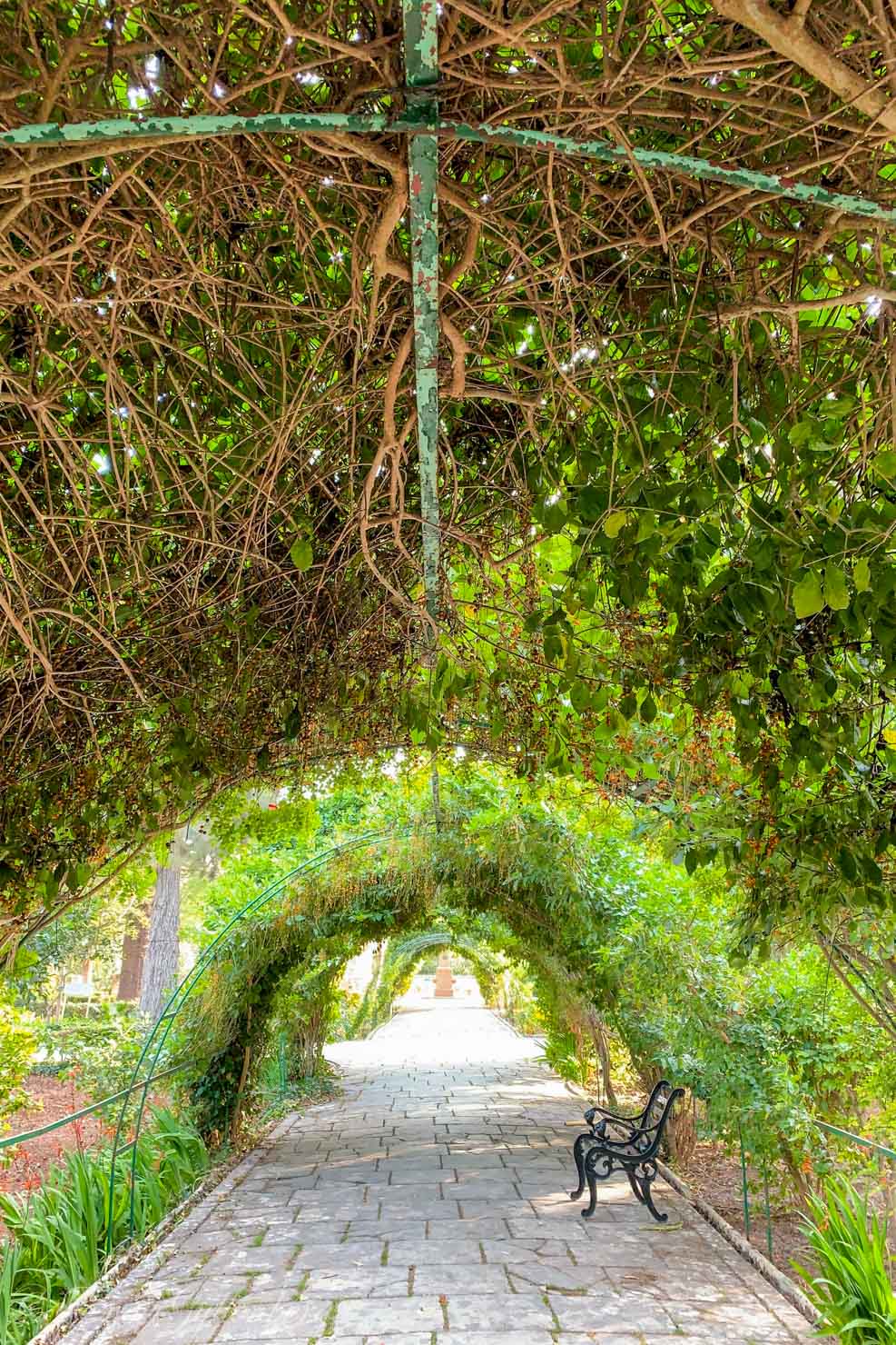San Anton garden with a green tunnel
