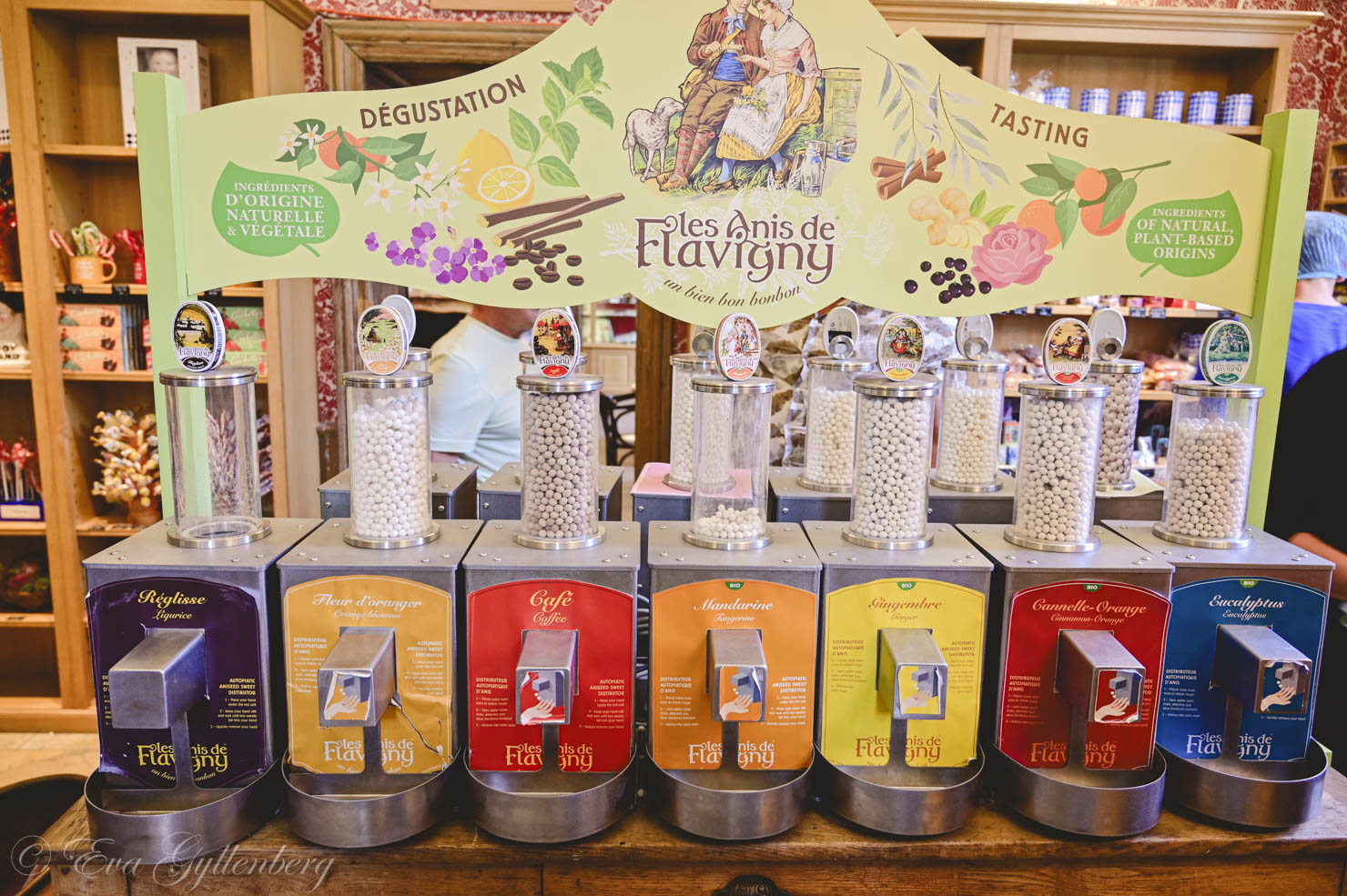 tastings in a candy store in Flavigny