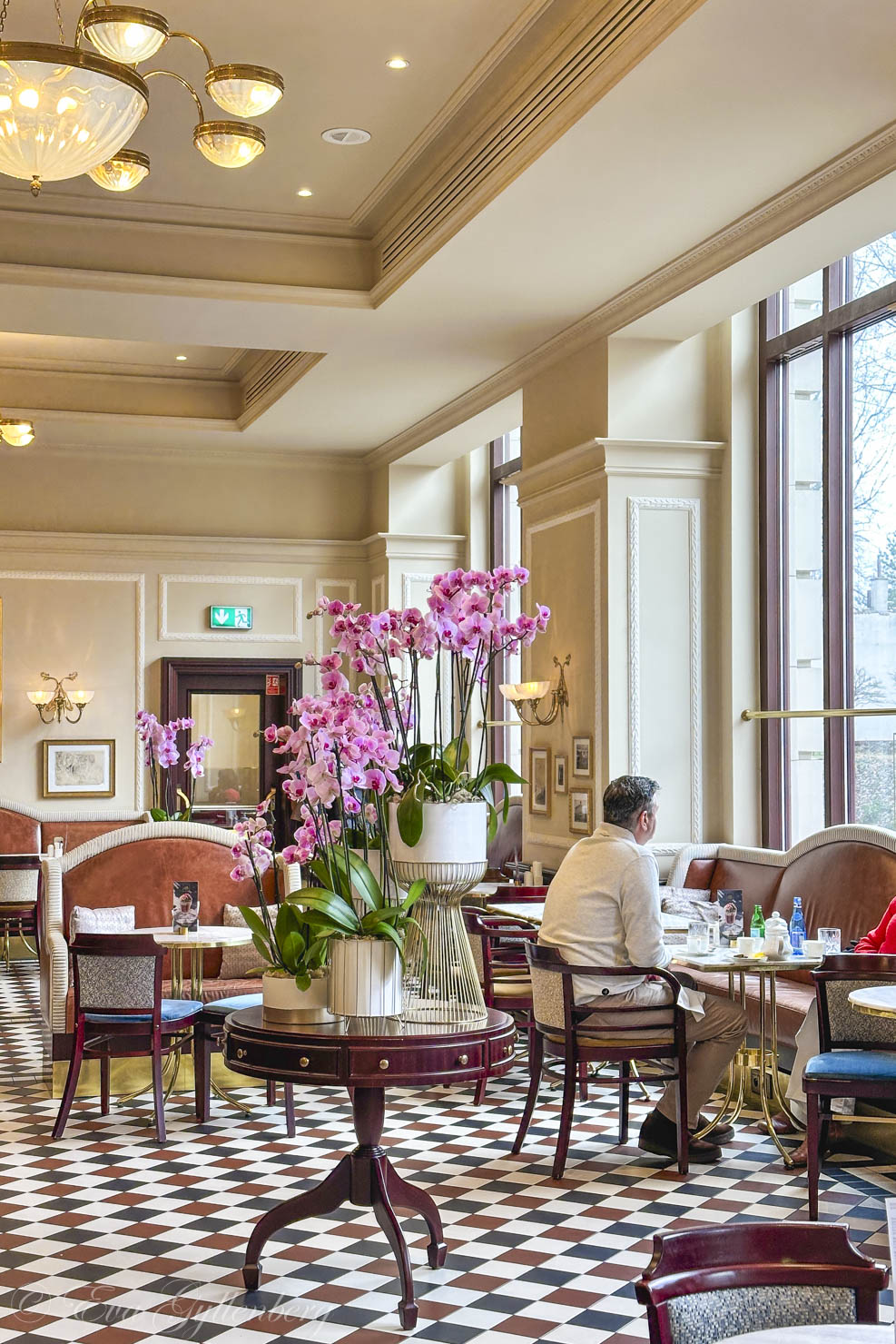 lots of orchids at Bristol café
