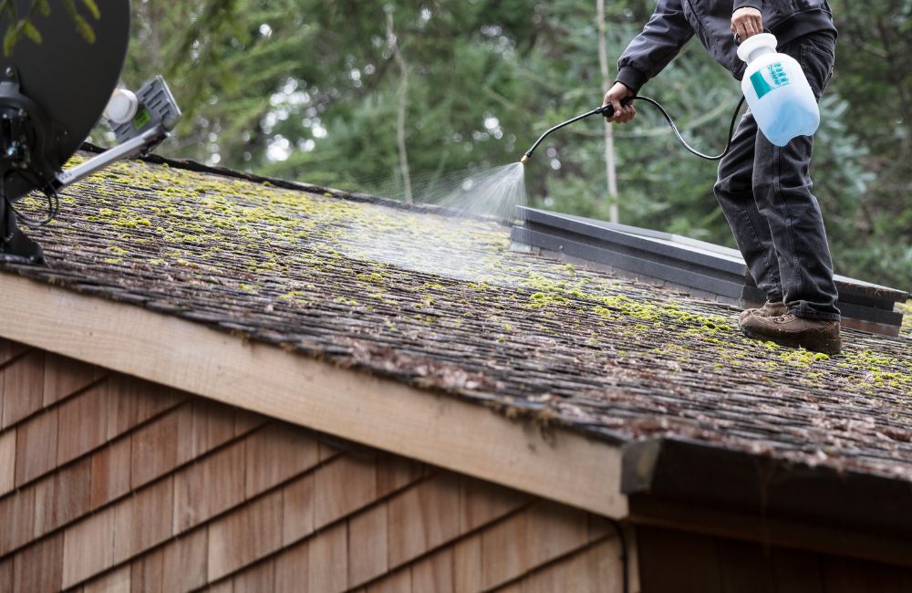 Olika sätt att ta bort mossa från tak