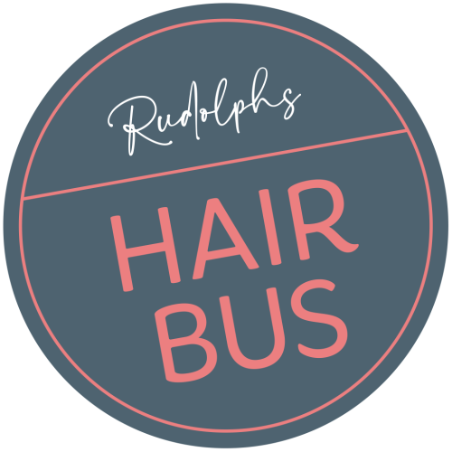 Hairbus Logo