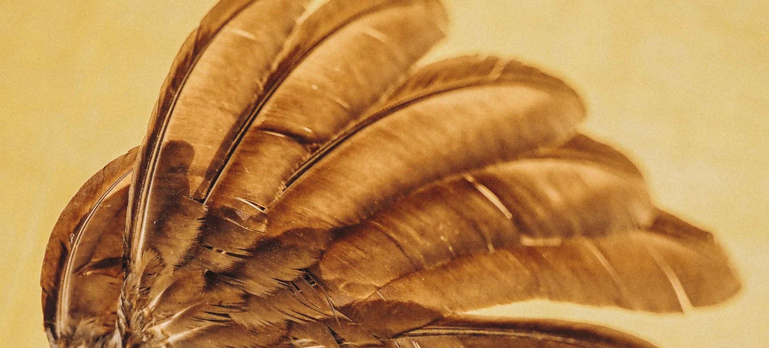 Kip op je kop of kip zonder kop? - Ruimtereizigers