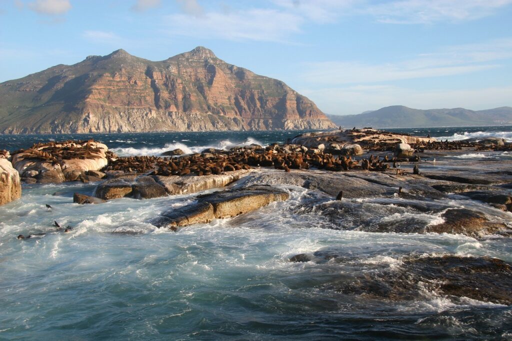 Isla duiker, Playas Sudáfrica