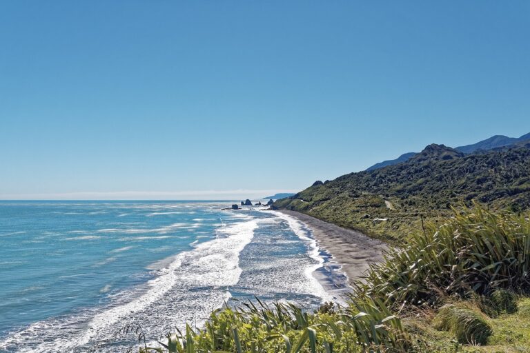 playas nueva zelanda