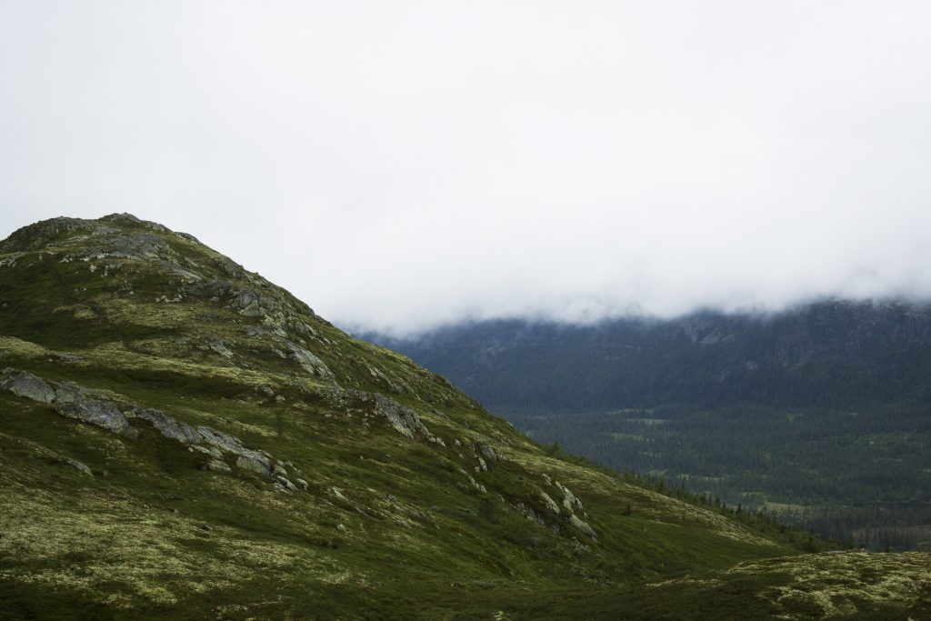 Klimaendringer på Norsk-arktisk tundra