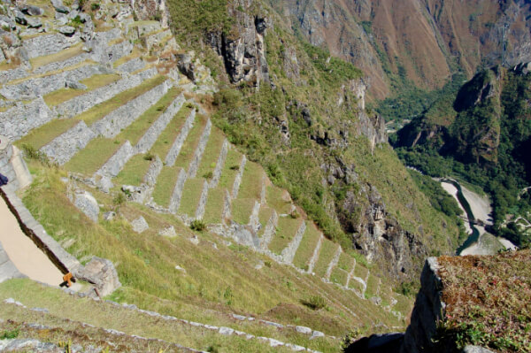 Machu Picchu - terasser