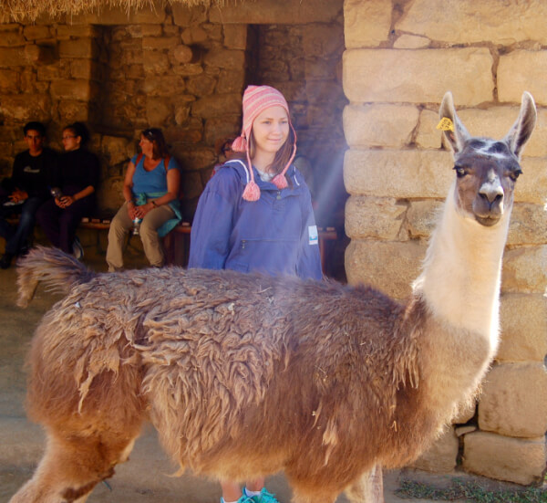 lama