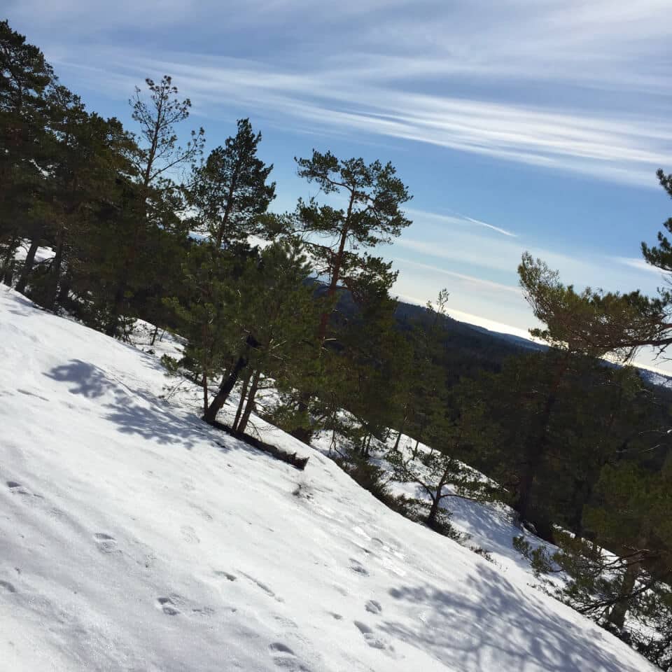 Utsikt fra Sletthei, Risør