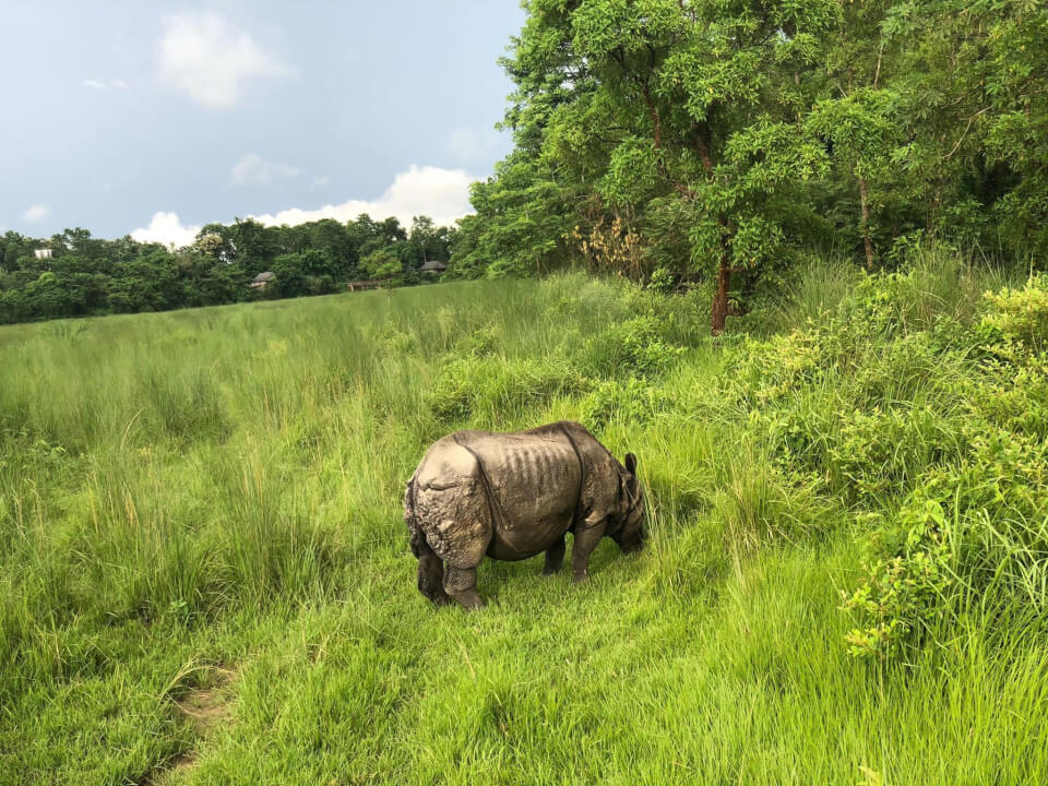 Chitwan, med Tigerland Safari Resort