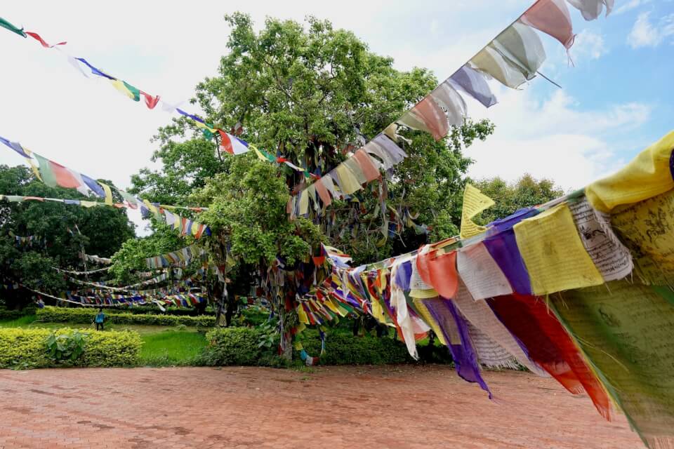 Bønnflagg utenfor Maya Devi tempelet, Lumbini