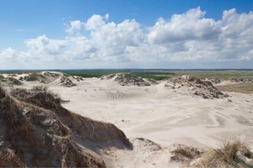 Råbjerg Mile, Skagen, Danmark