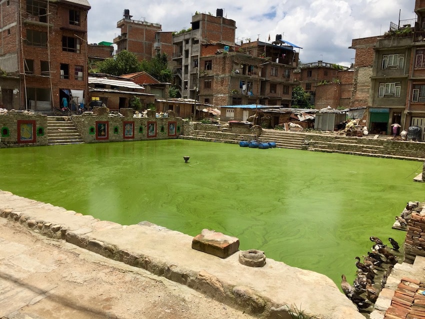 Bungamati. Innsjø fylt av alger. Jordskjelvet i Nepal 2015.