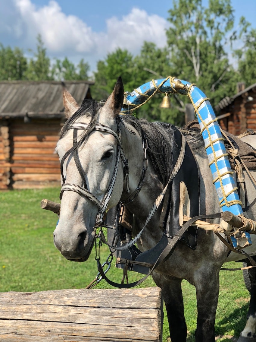 Taltsy museum, Irkutsk