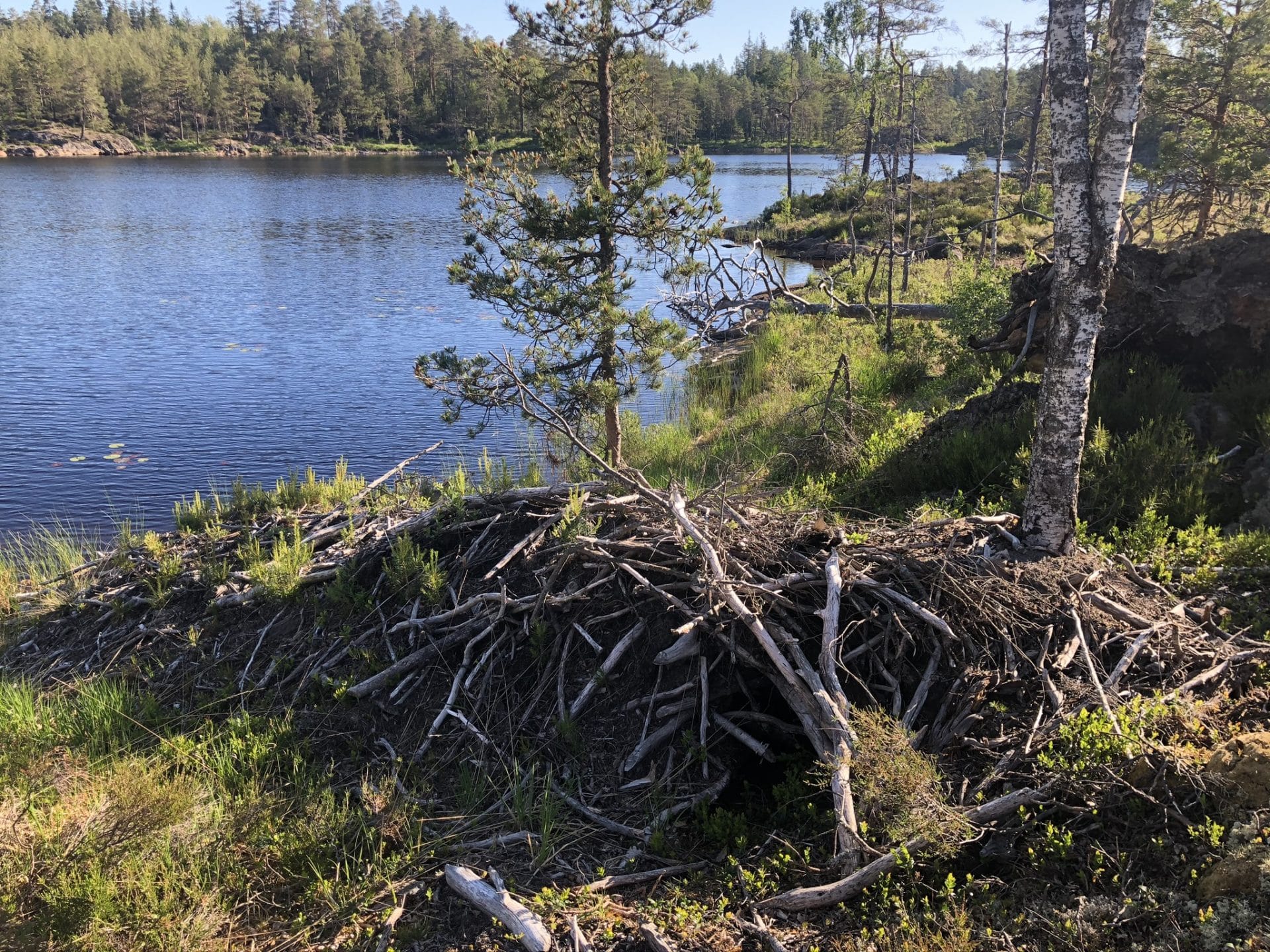 Langvannet, Vestfjella