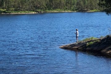Vestfjella