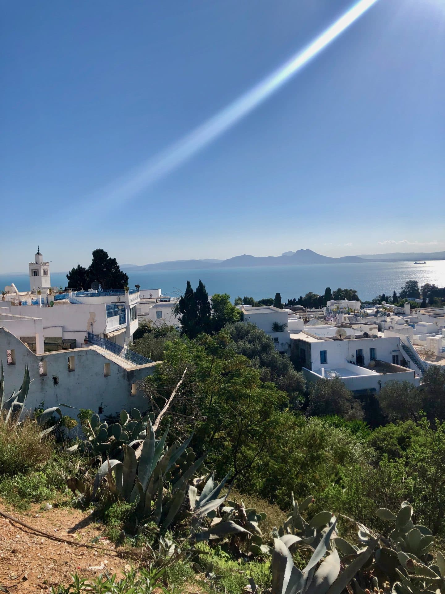 Utsikt Sidi Bou Said