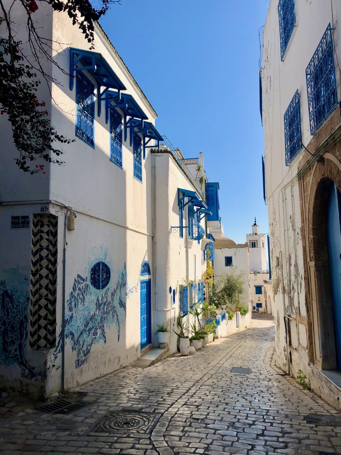 Blå dører i Sidi Bou Said